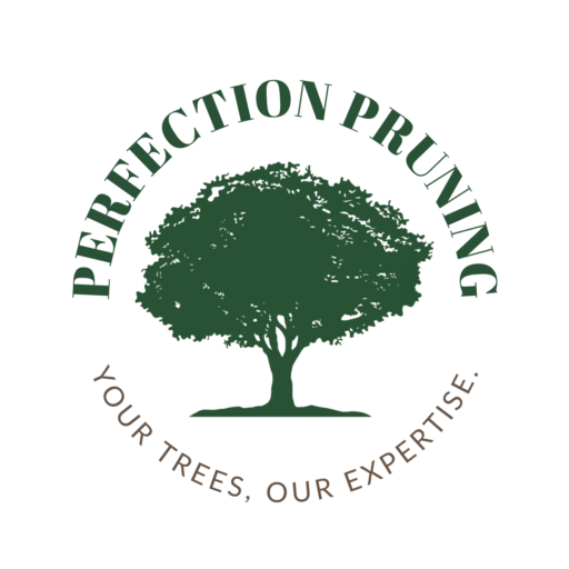 perfection.pruning