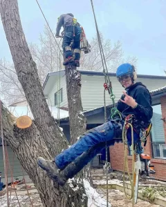 Perfection Pruning photo 6
