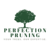 Perfection Pruning